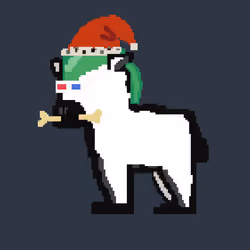 Zebra #2046