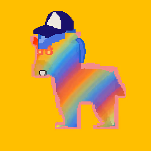 Zebra #4888