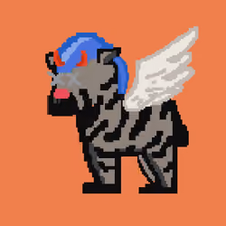 Zebra #2089