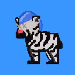 Zebra #5131
