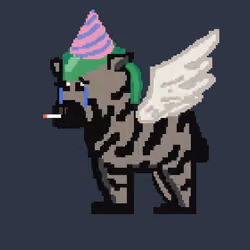 Zebra #4081