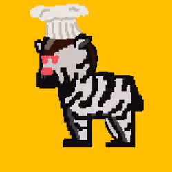 Zebra #4917