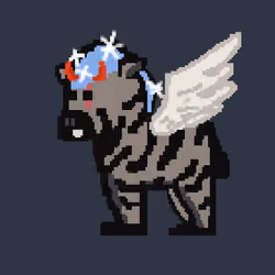 Zebra #4213