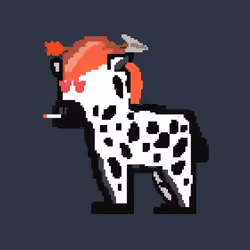 Zebra #1475