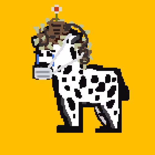 Lion And Zebra