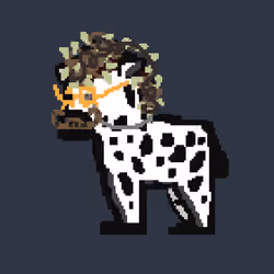 Zebra #3605