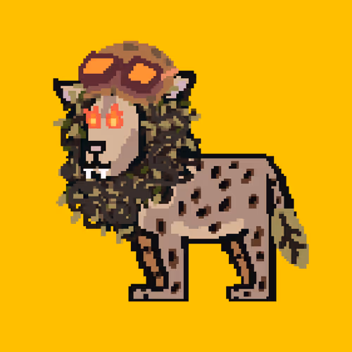 Lion And Zebra