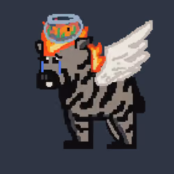 Zebra #2646