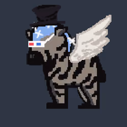 Zebra #1251