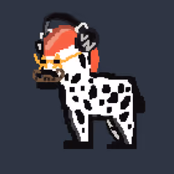 Zebra #4181
