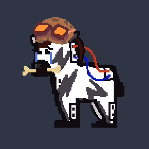 Lion And Zebra