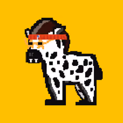 Zebra #4497