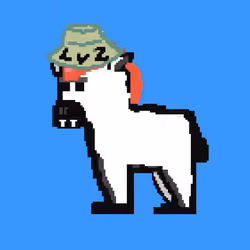 Zebra #1474