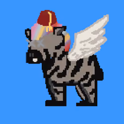 Zebra #2929