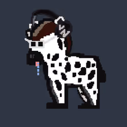 Zebra #4733