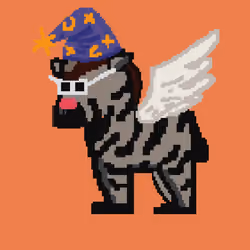 Zebra #1534
