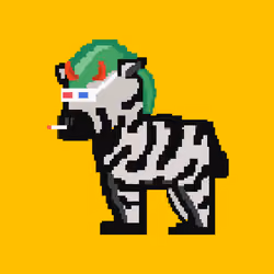 Zebra #4343