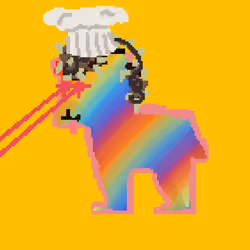 Zebra #2582