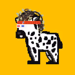 Zebra #4887