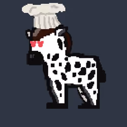 Zebra #3798