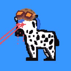 Zebra #1476