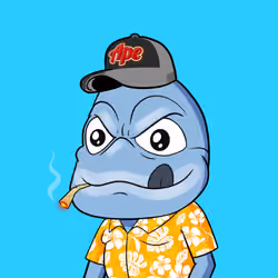 wtFrog #2914