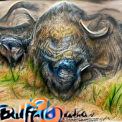 Buffalo buffalo buffalo buffalo buffalo buffalo buffalo buffalo.
