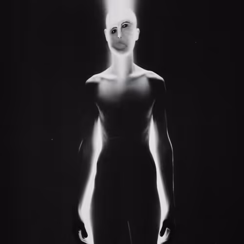 jibjab's Networked Collection