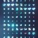 646