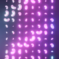 Infinite Gemesis #911