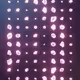 241