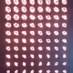 817