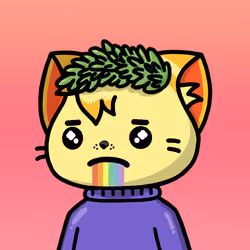 Kitty #3661