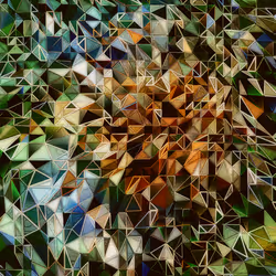 259
