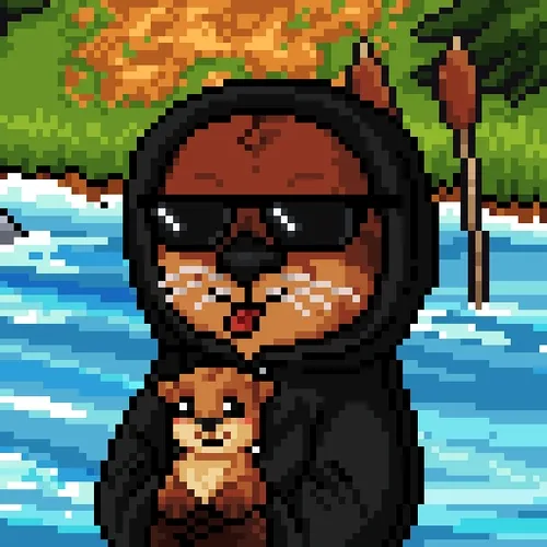 The Otterside