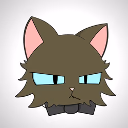Cat #2848