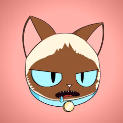 Cat #8897