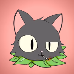 Cat #7500