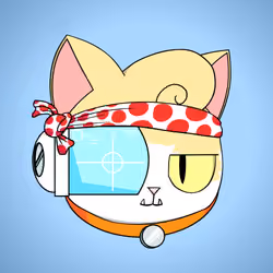 Cat #1126