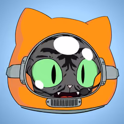 Cat #5676