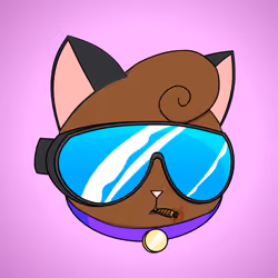 Cat #6664