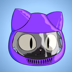 Cat #2652
