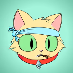 Cat #2211