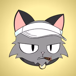 Cat #6620