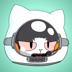 Cat #5405
