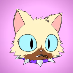 Cat #6736