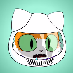 Cat #6729
