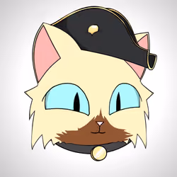 Cat #2382