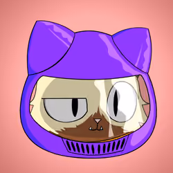 Cat #2655