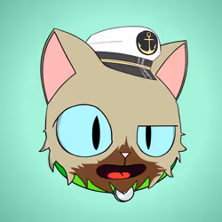 Cat #6048